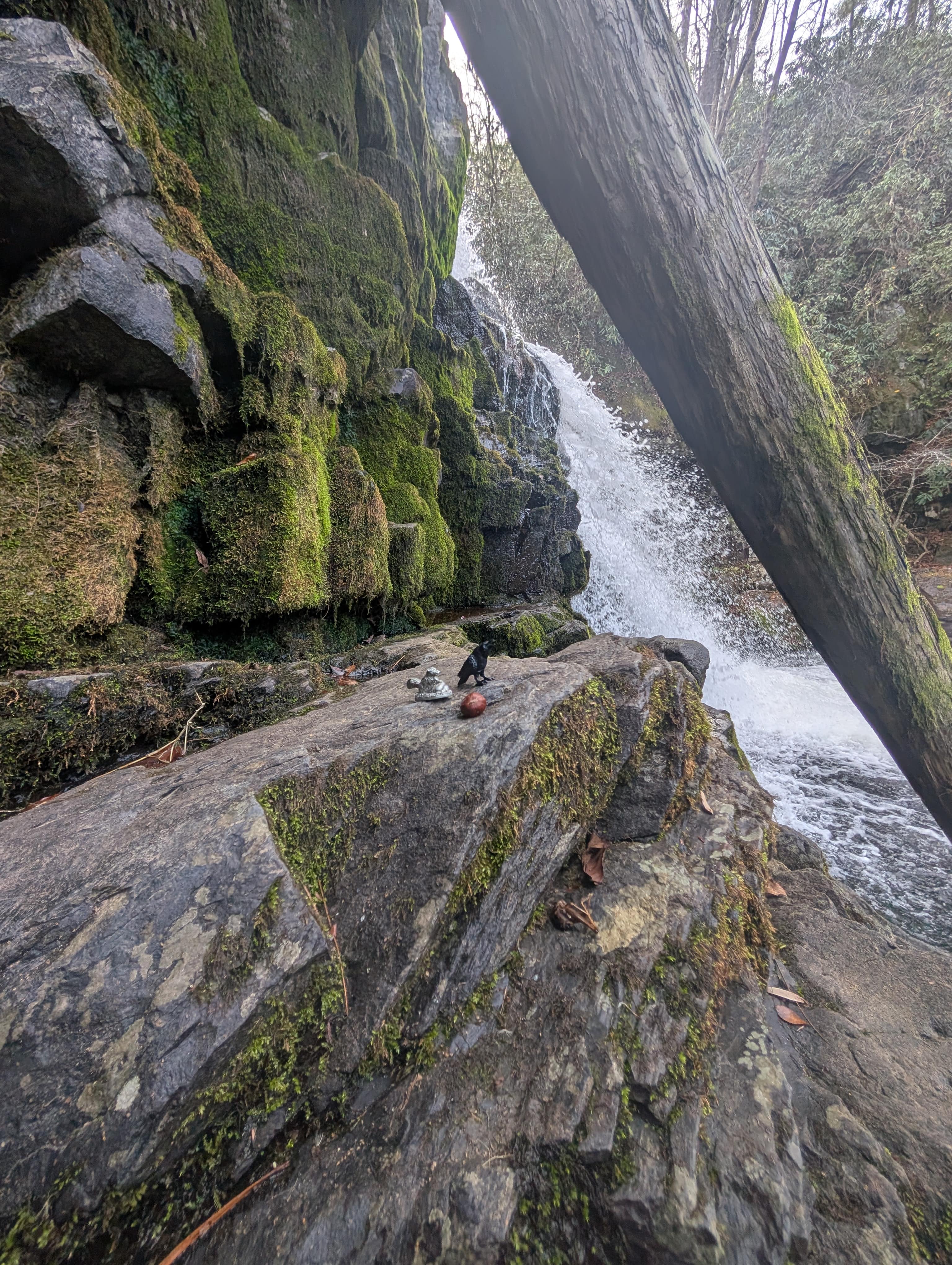 First known Church of Skunk altar
