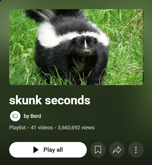 Skunk Seconds on YouTube